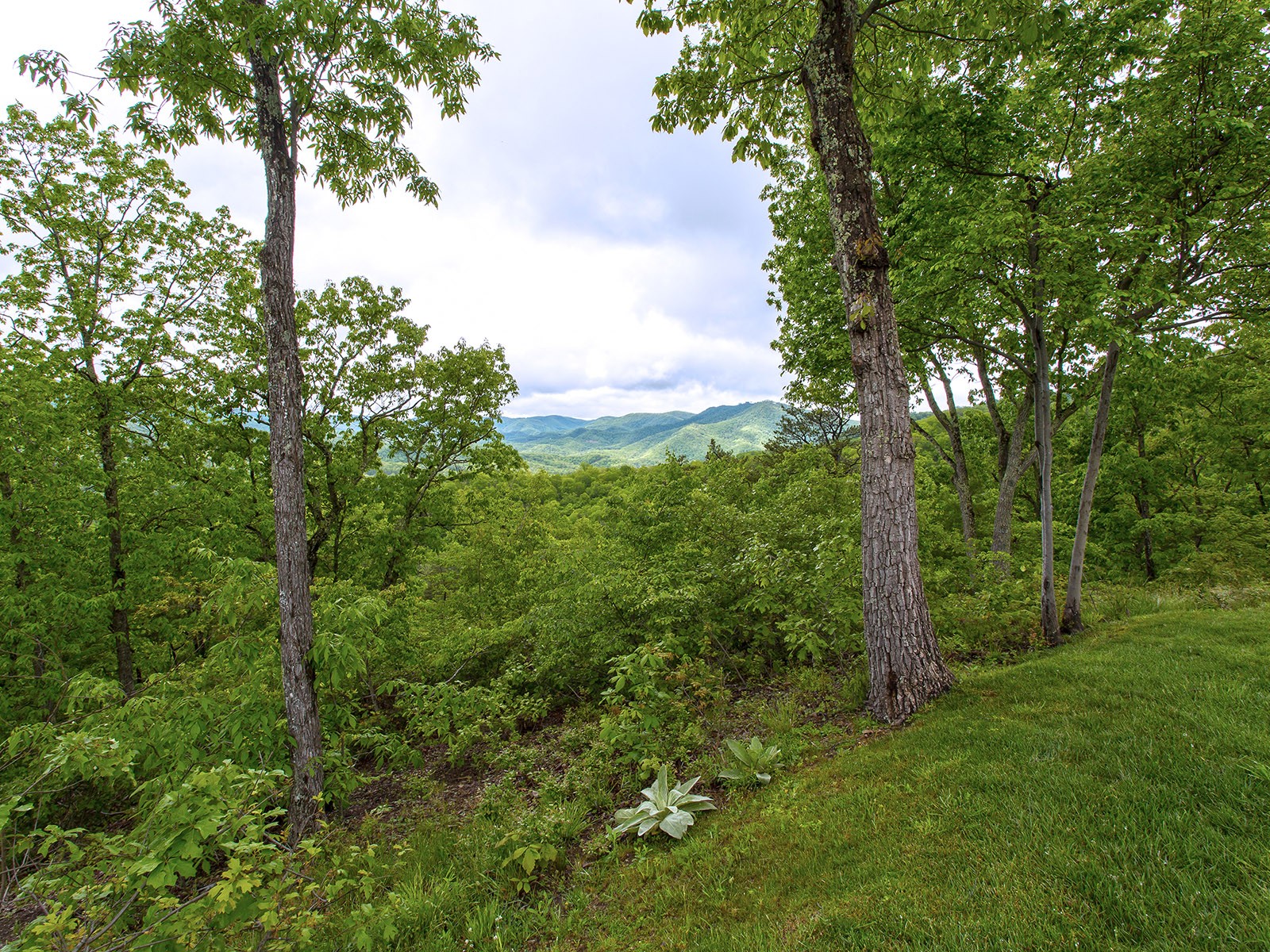 564 Wilson Ridge Greenbrier Living